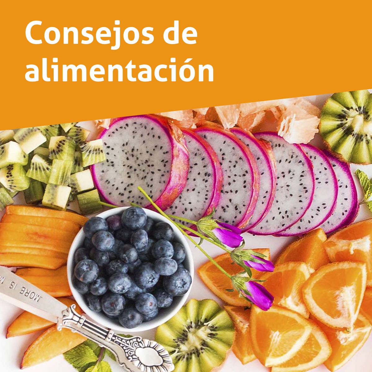 Featured image for “Consejos de alimentación”